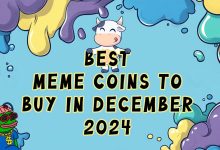 4-must-join-meme-coin-presales-this-december-2024