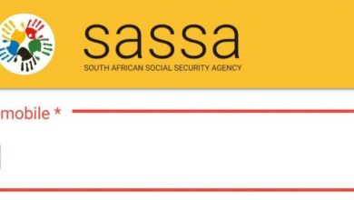 what-is-sassa?-how-to-apply-and-check-sassa-status?