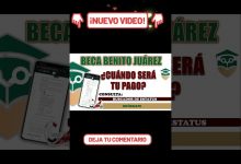 buscador-de-estatus-–-official-tool-to-check-status-of-becas-benito-juarez-program